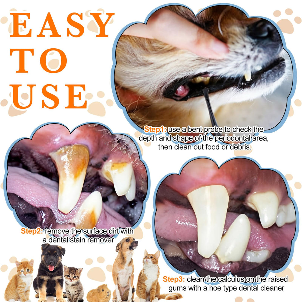 Ensemble outils detartrage dentaire Hotop 3 pièces pour chiens et chats