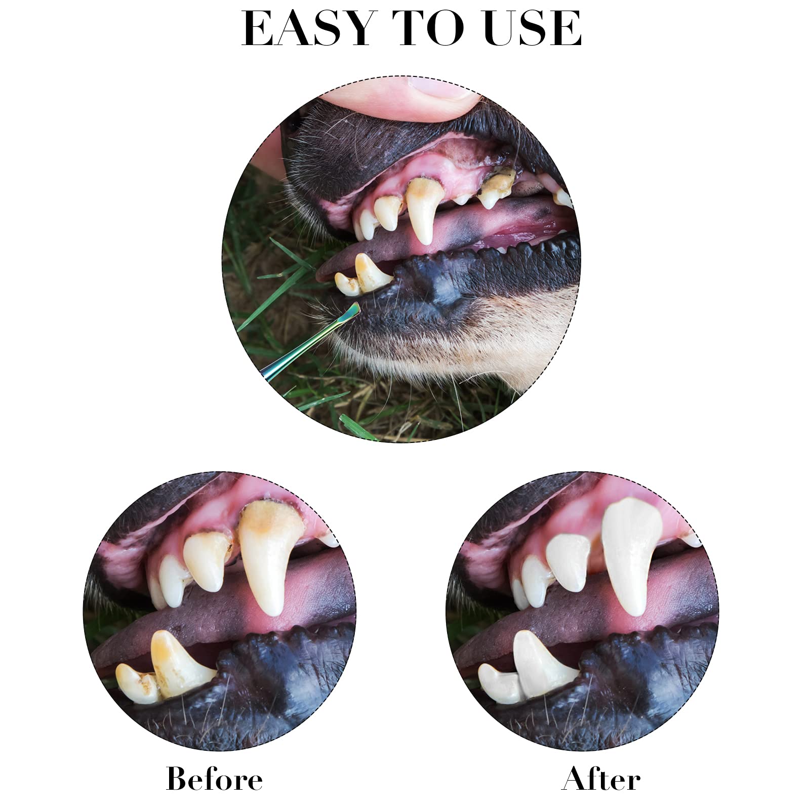 Hotop kit-dentaire-animal-double-tete, ensemble pratique pour l'hygiène buccale.