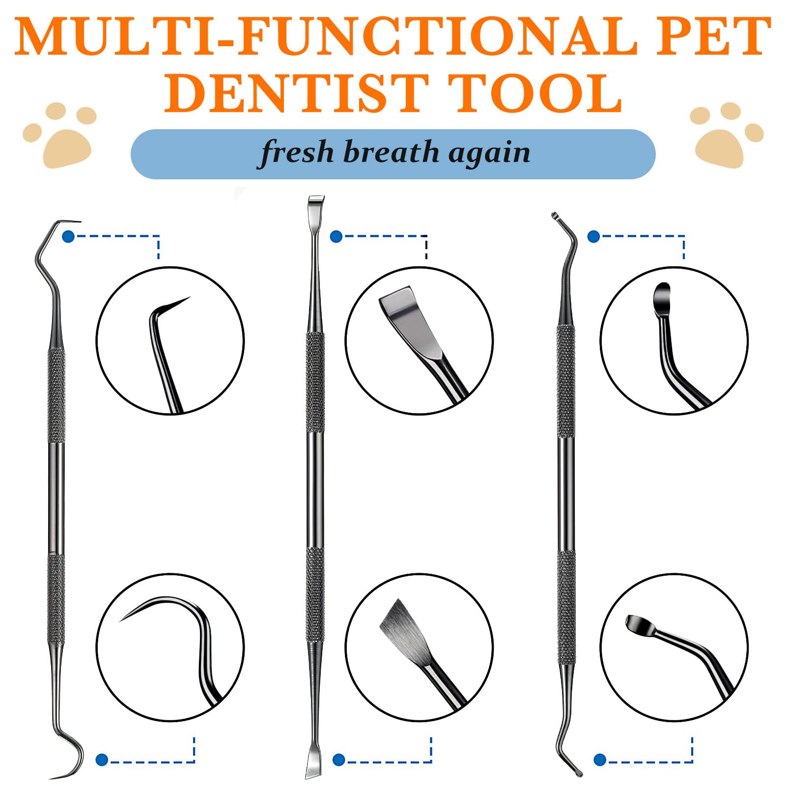 Hotop outil detartrage dentaire en acier inoxydable pour animaux