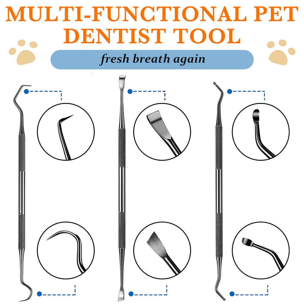 Hotop outil detartrage dentaire en acier inoxydable pour animaux