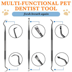 Hotop outil detartrage dentaire en acier inoxydable pour animaux