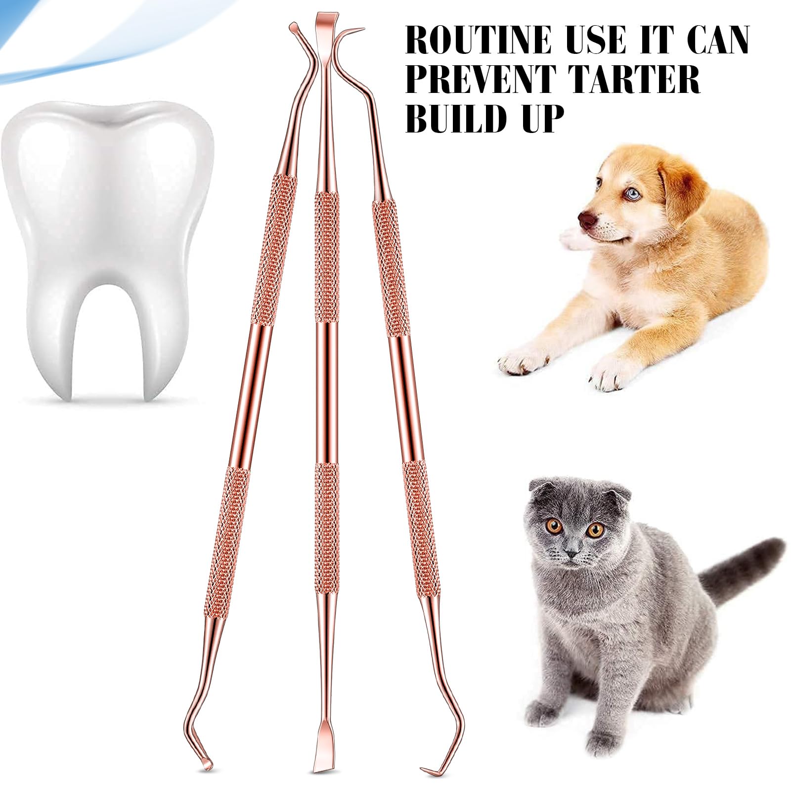 Hotop outil longueur 16,5–18 cm, prise stable.