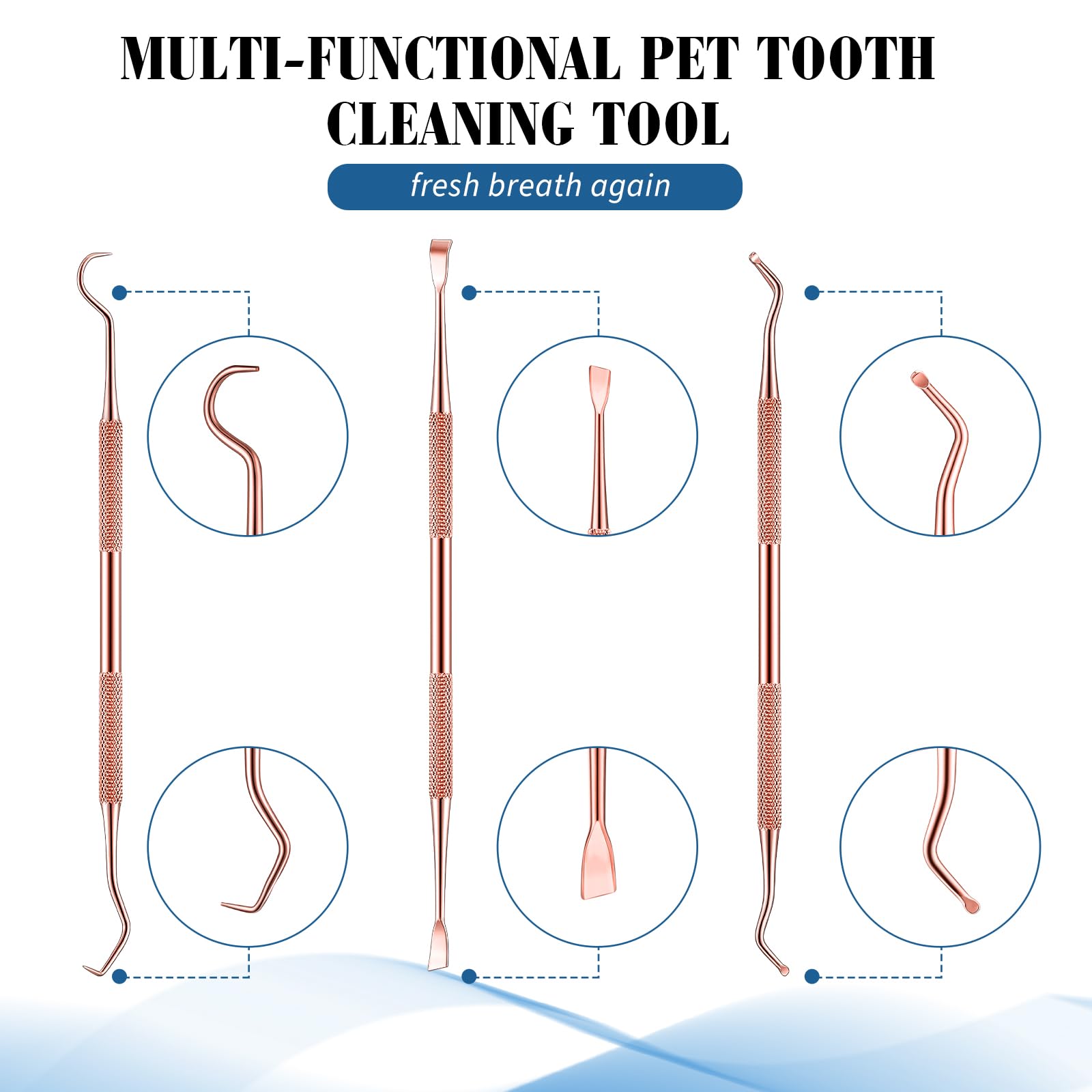 Hotop outils nettoyage dents chien et chat double-tête, entretien buccal.