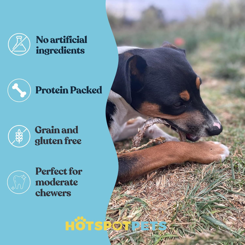 Groupe d'anneaux Bully Stick hotspot-pets 4 pouces, digestibles.