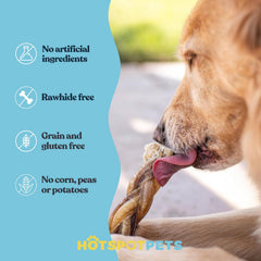 Hotspot Pets bâton de bœuf 100% sud-américain, friandise naturelle