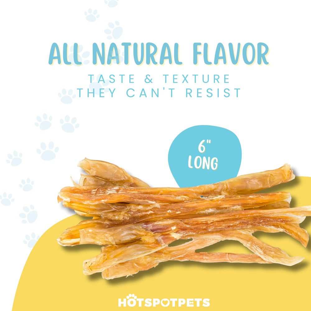 Hotspot Pets tendon boeuf 8 pouces, cuisson lente pour saveur riche.