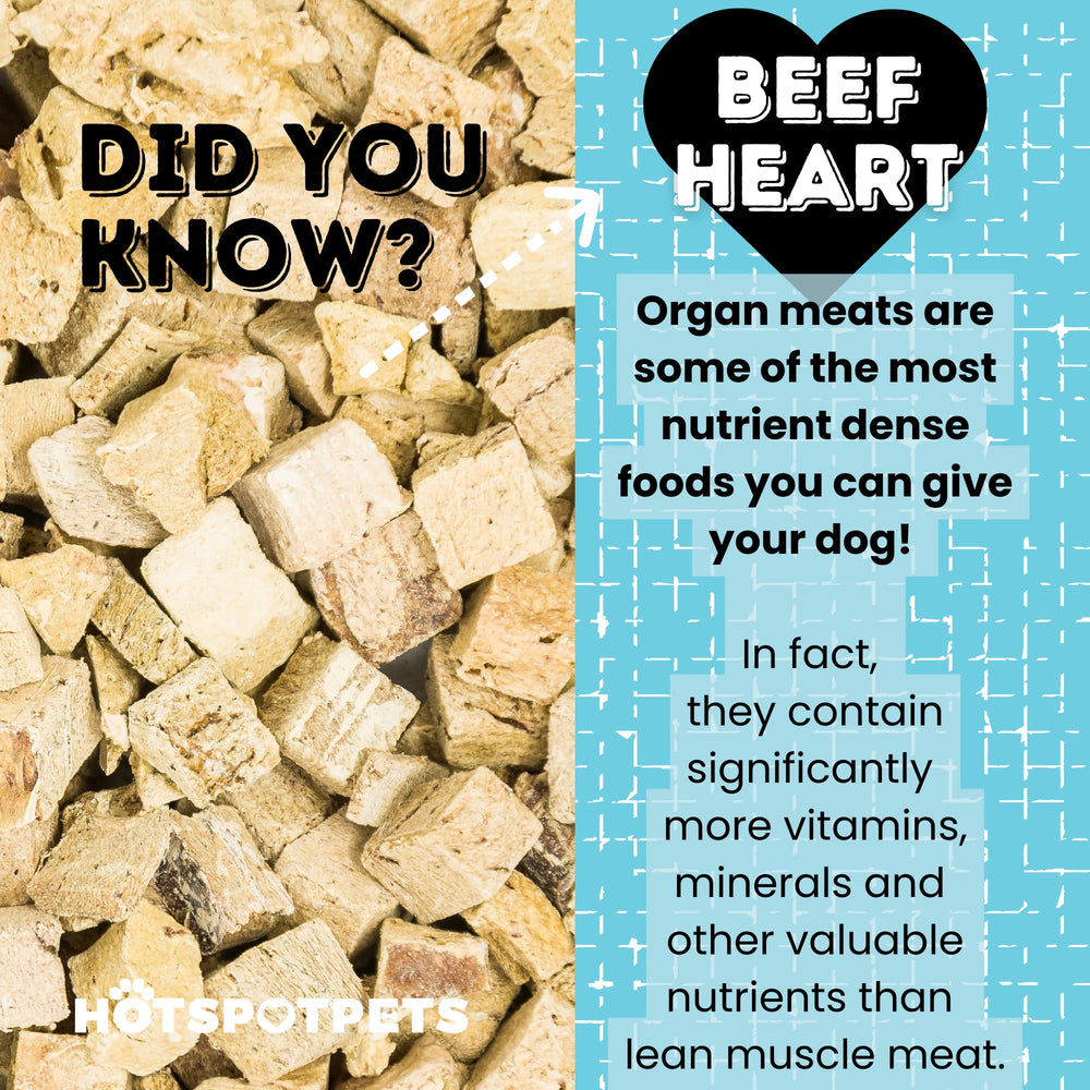 Hotspot Pets: chien et chat approuvent les friandises au coeur de boeuf seche
