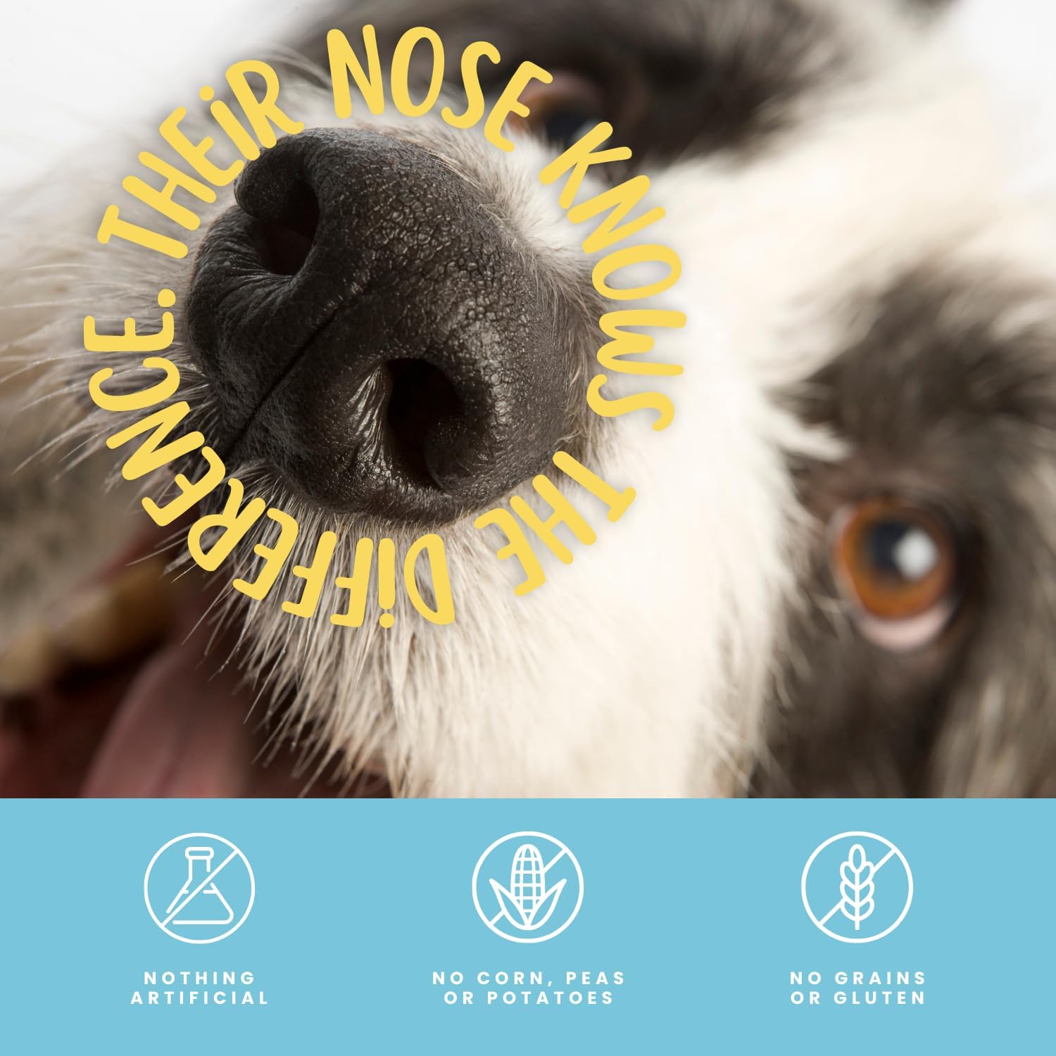 Hotspot Pets chien heureux – session de friandise naturelle.