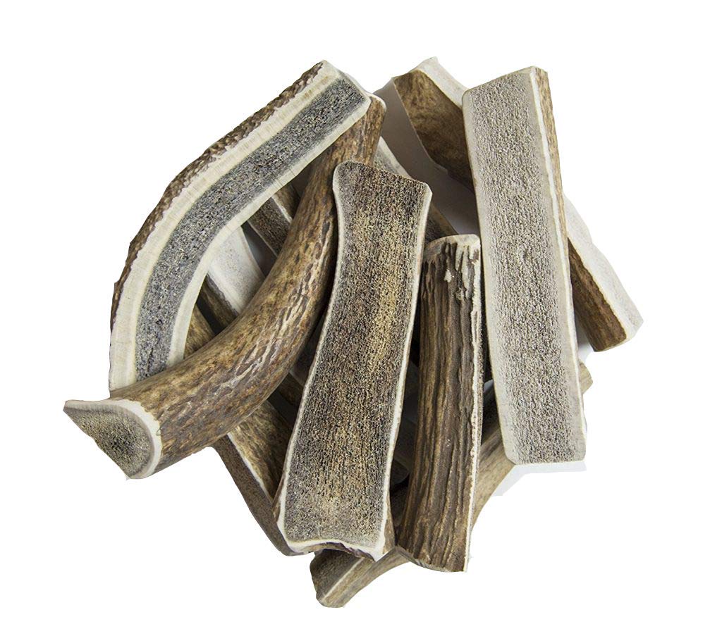 Hotspot Pets : corne de cerf fendue 6-7 pouces, friandise naturelle pour chiens actifs.