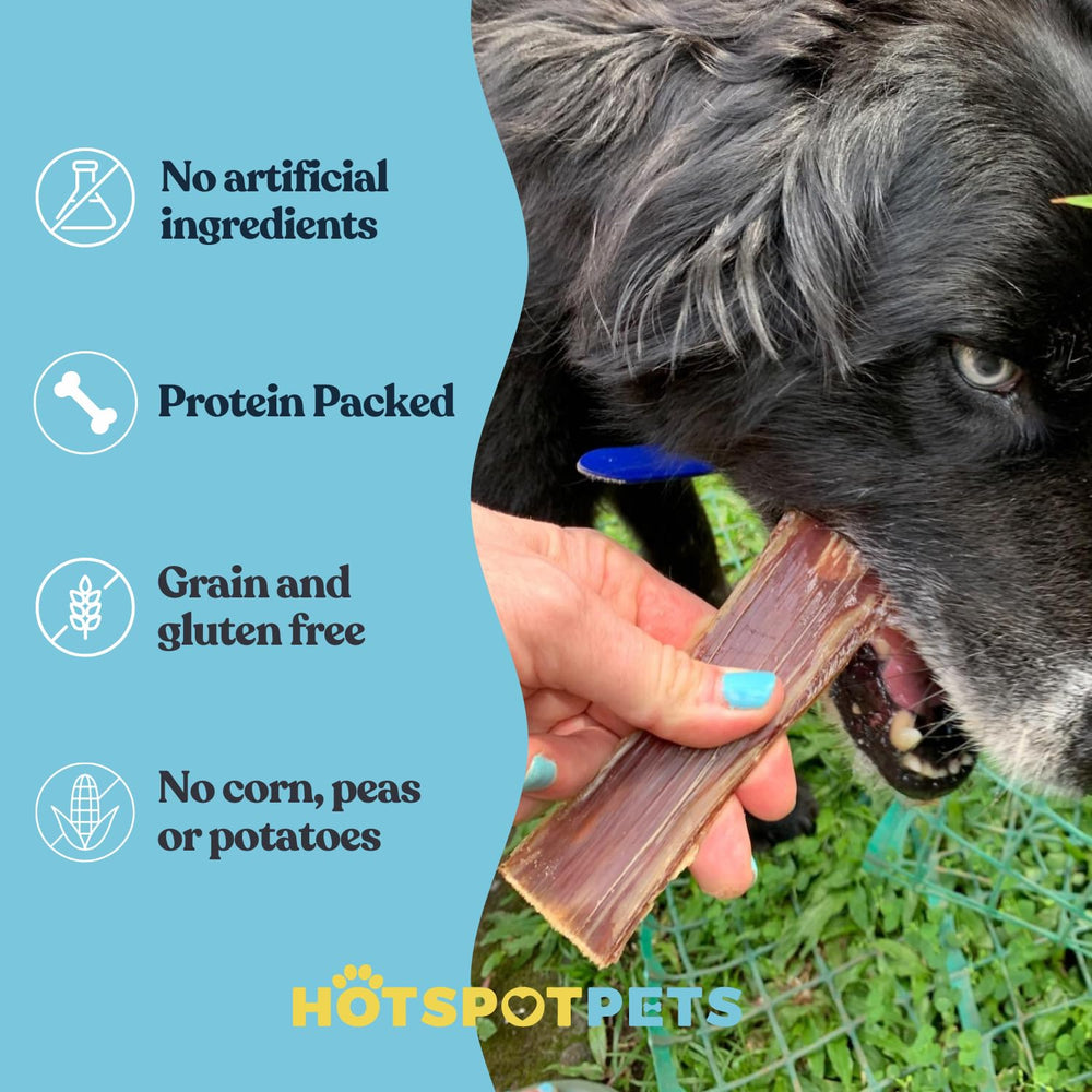 Friandise boeuf naturelle Hotspot Pets œsophage, idéale pour récompenser le chien.
