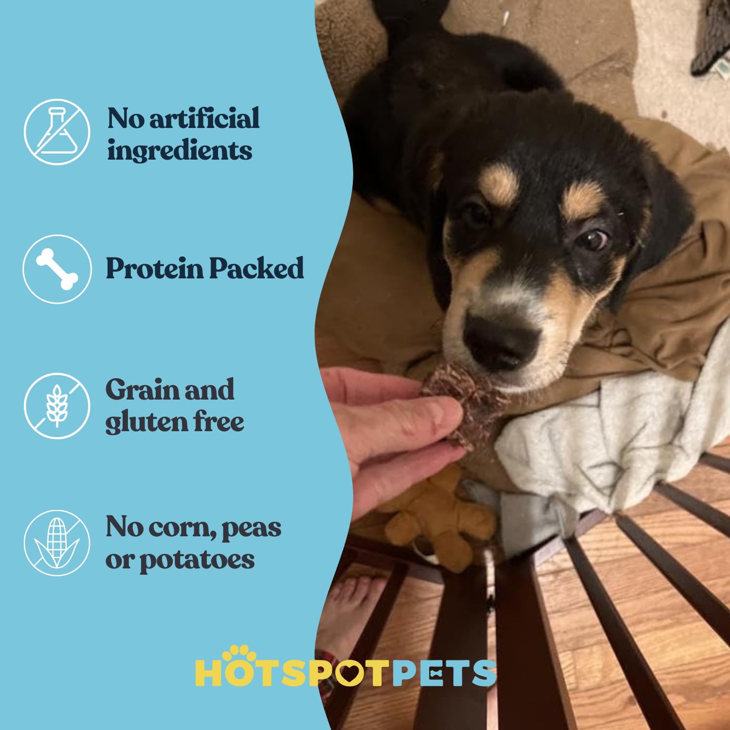 Hotspot Pets friandises poumon-boeuf détail tranche, texture croquante attrayante.