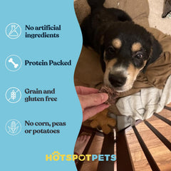 Hotspot Pets friandises poumon-boeuf détail tranche, texture croquante attrayante.