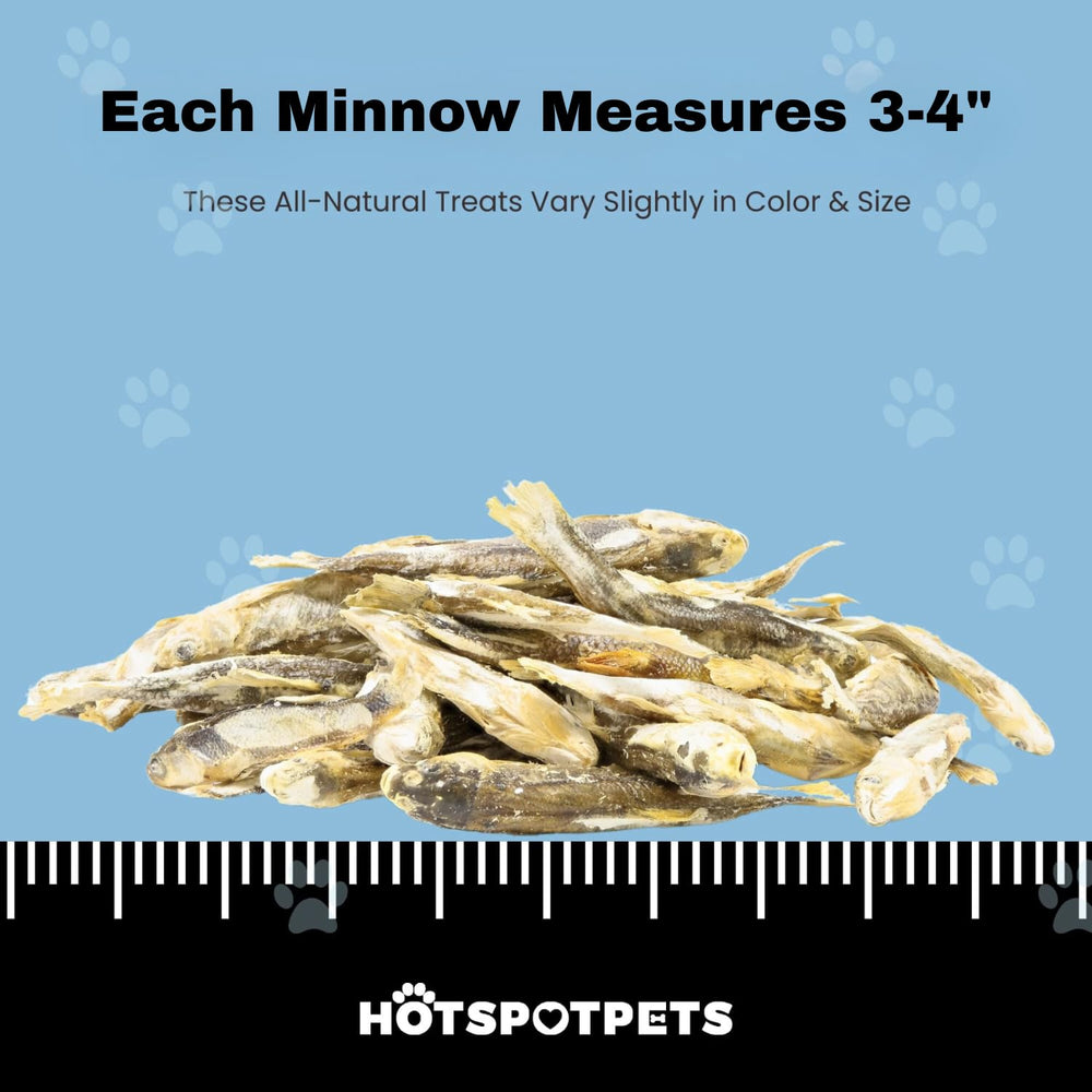 Hotspot Pets Minnows: fabriqué aux États‑Unis, qualité contrôlée.