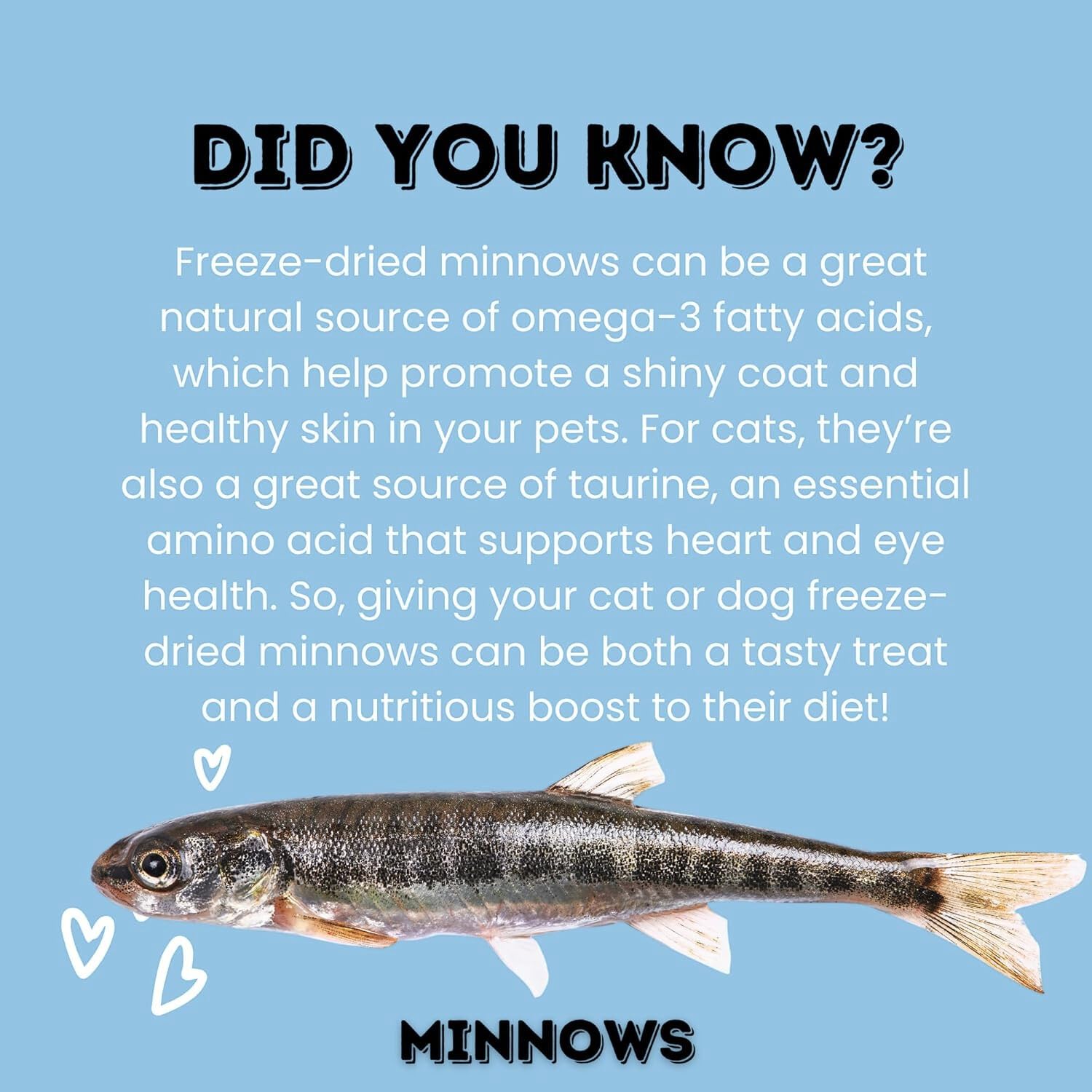 Hotspot Pets Minnows: idéal comme garniture sur croquettes.