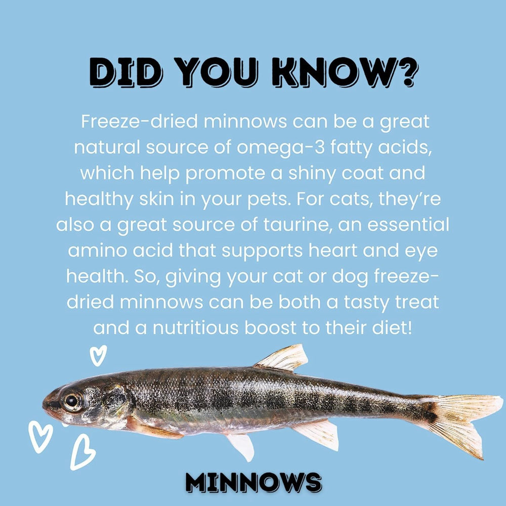 Hotspot Pets Minnows: idéal comme garniture sur croquettes.