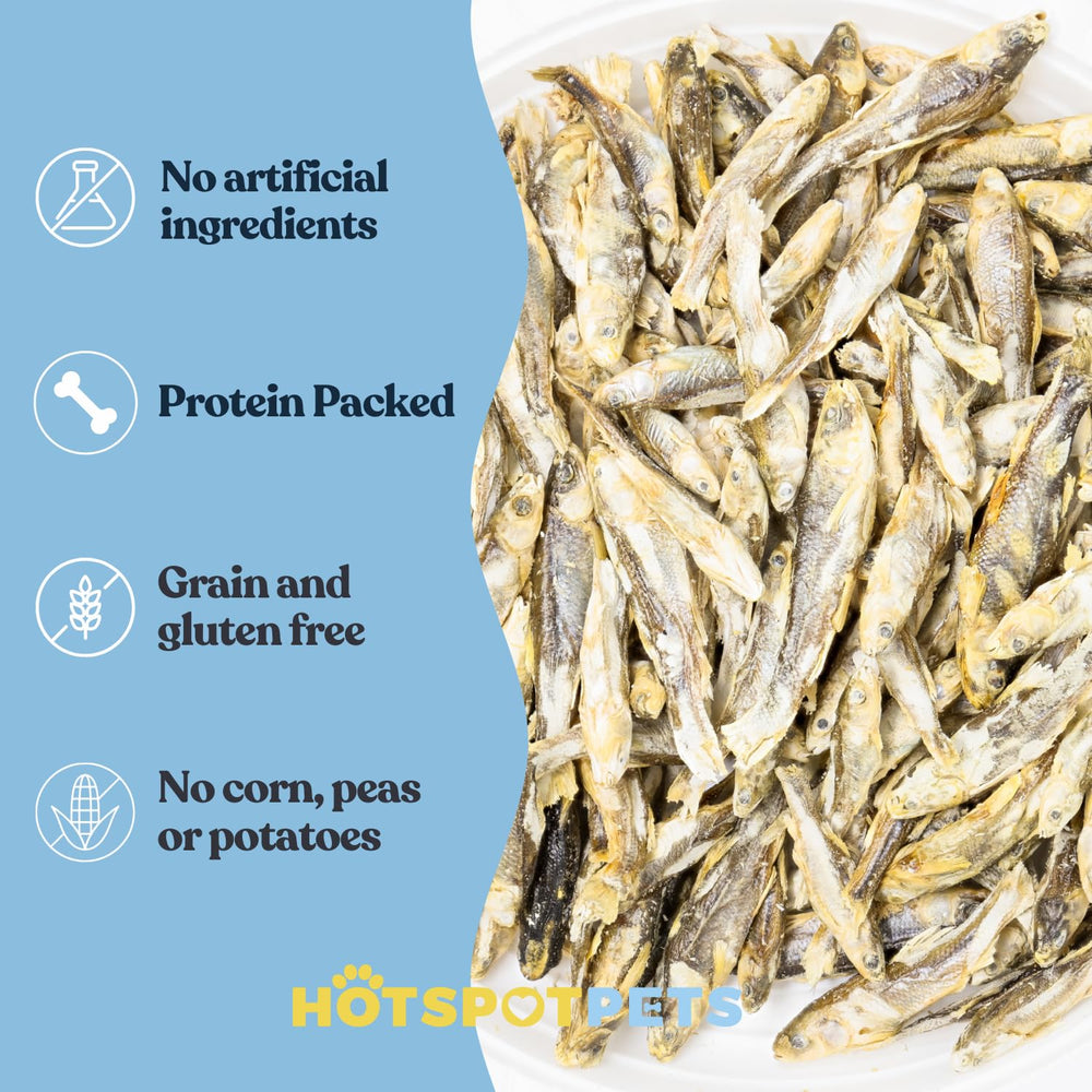 Hotspot Pets Minnows: protéines élevées et oméga-3 pour la vitalité.