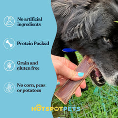 Hotspot Pets sans hormones, œsophage de bœuf pour chien.
