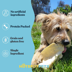 Hotspot Pets Oreilles de boeuf naturelles dentition et entretien des gencives