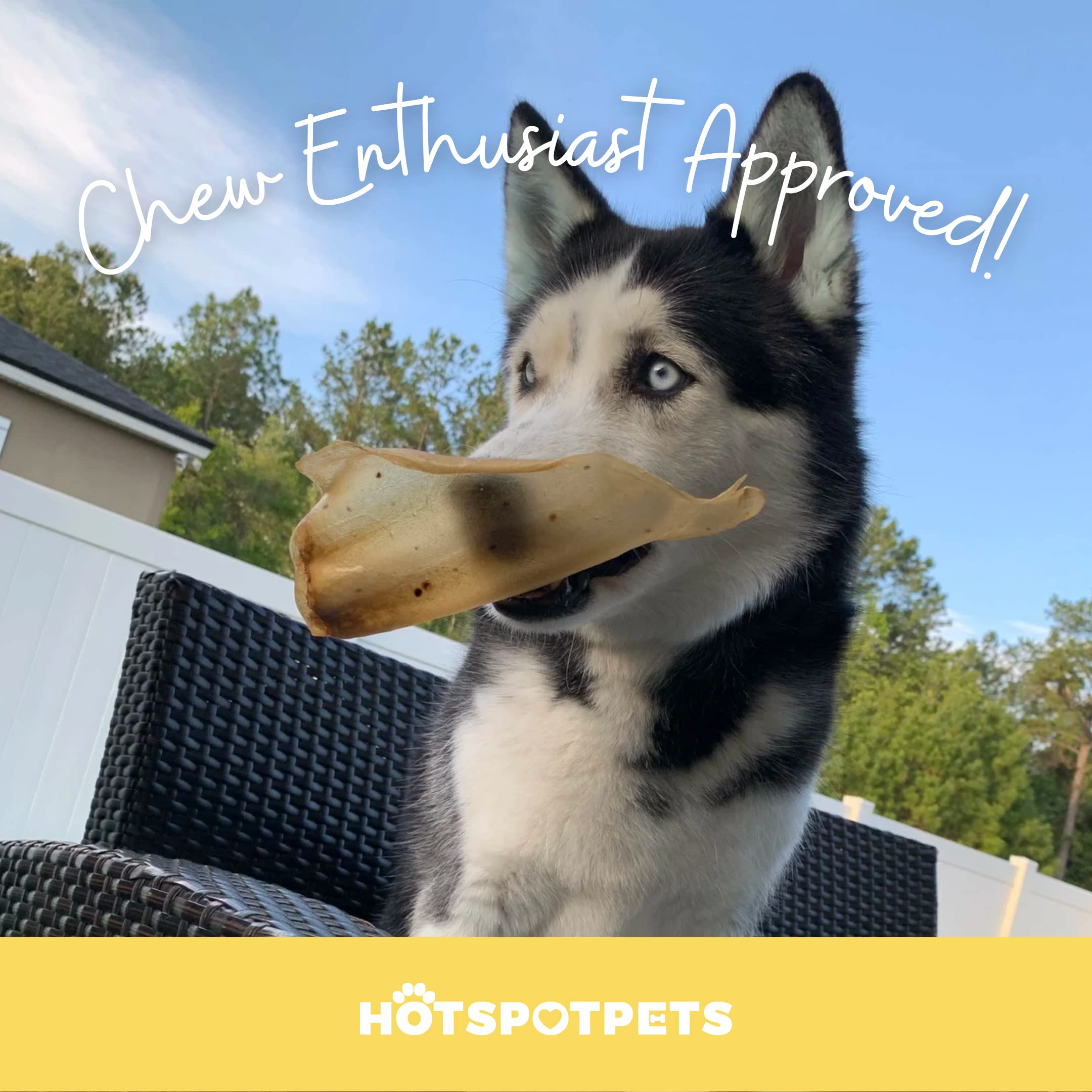 Hotspot Pets Oreilles de boeuf naturelles digestibles et faciles à digérer
