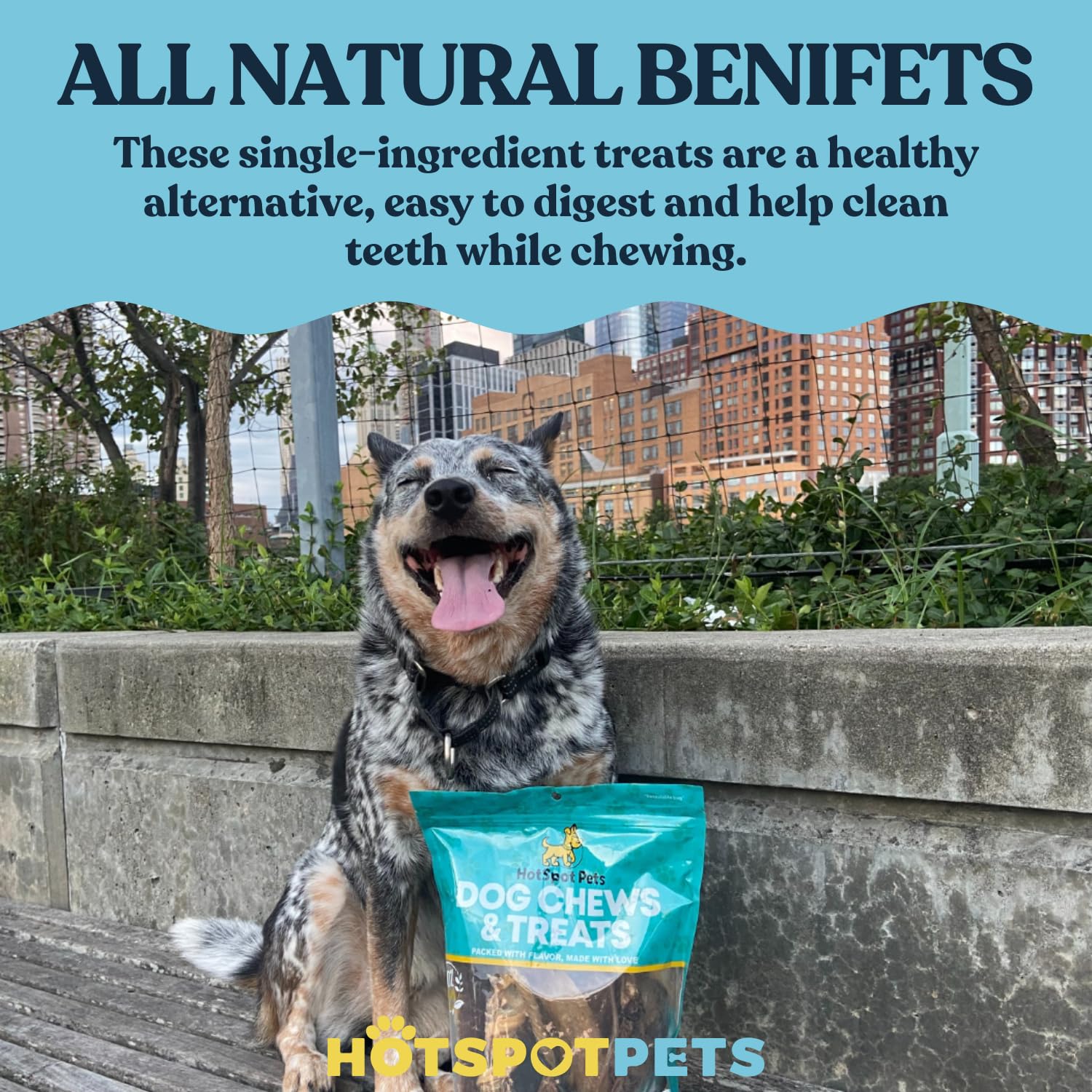 Hotspot Pets os à mâcher en cuir brut, alternative naturelle aux friandises artificielles.