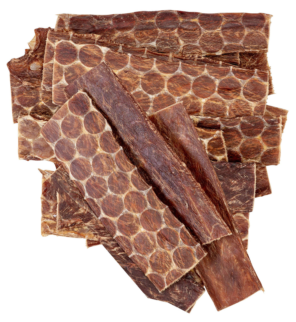 Hotspot Pets osophage chien friandise 6 pouces, récompense naturelle pour chiens actifs.