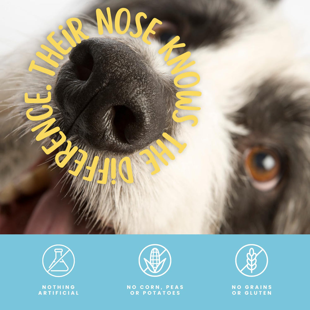 Hotspot Pets poumon d'agneau, sans additifs pour un choix plus simple.