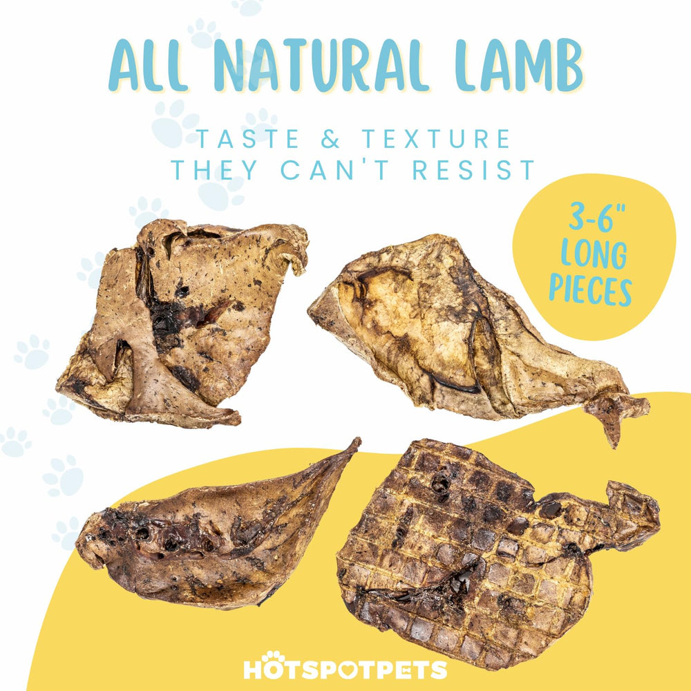 Hotspot Pets poumon d'agneau, texture croustillante et déshydratation qui préserve les nutriments.