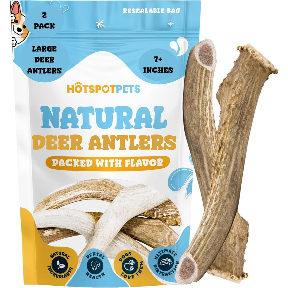 Hotspot Pets ramures de cerf 7 pouces, mastic durable pour grands chiens.