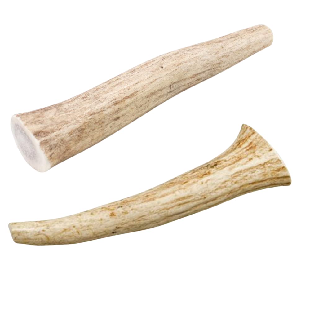 Hotspot Pets ramures de cerf, dentition stimulante pour chien.