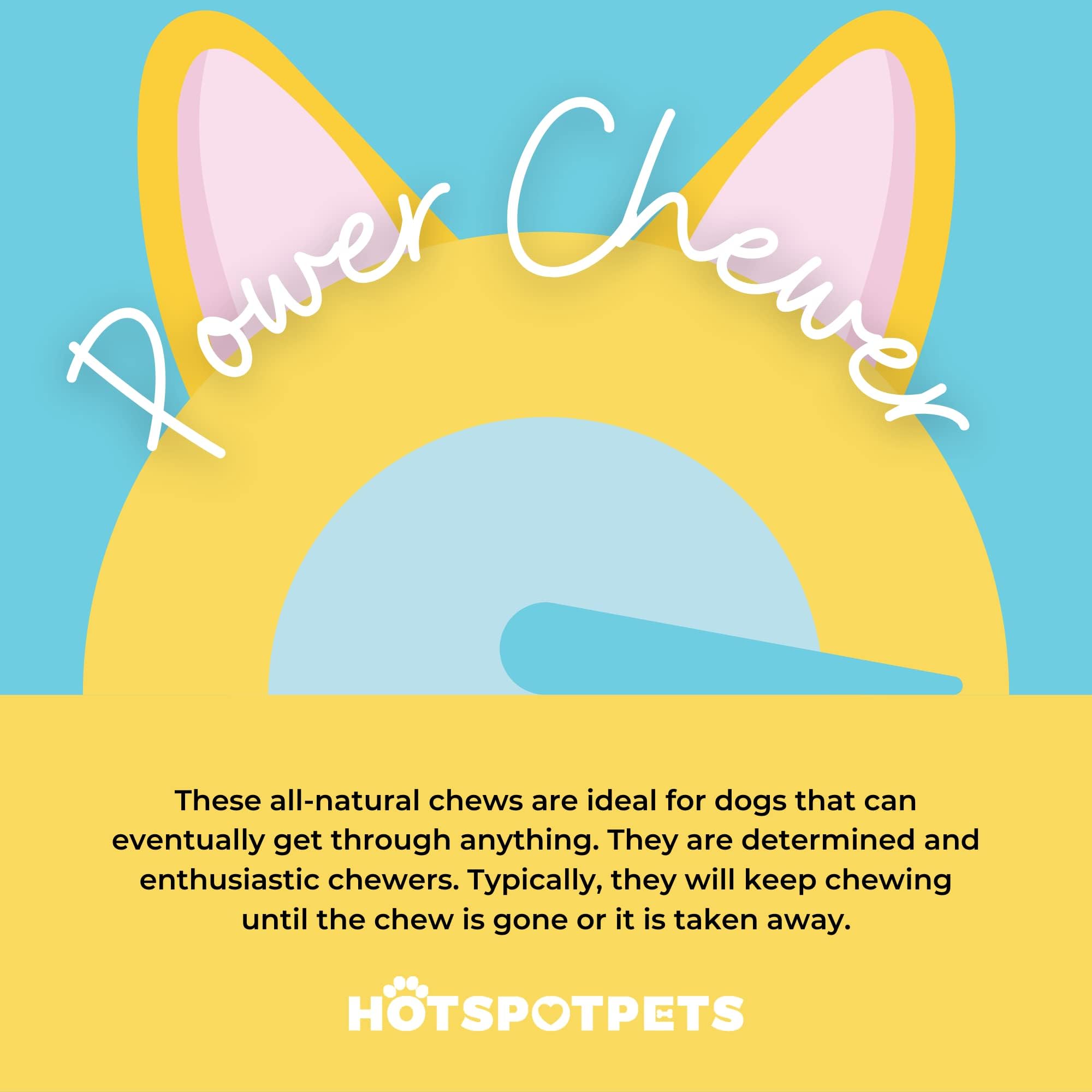 Hotspot Pets ramures de cerf, utilisation polyvalente en intérieur et extérieur.