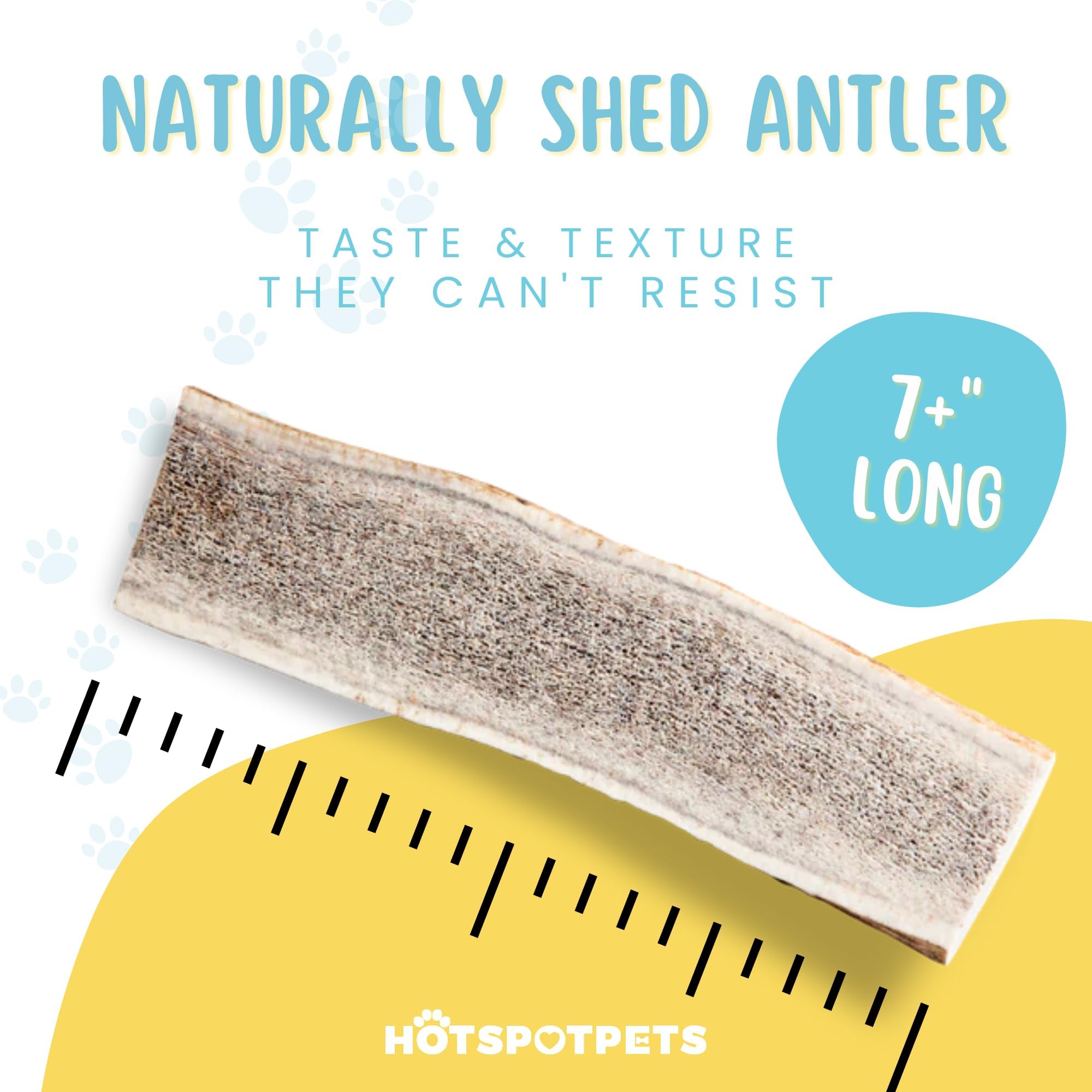 Hotspot Pets: sans additifs preservatifs elk, option naturelle pour chiens