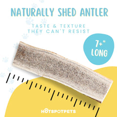 Hotspot Pets: sans additifs preservatifs elk, option naturelle pour chiens