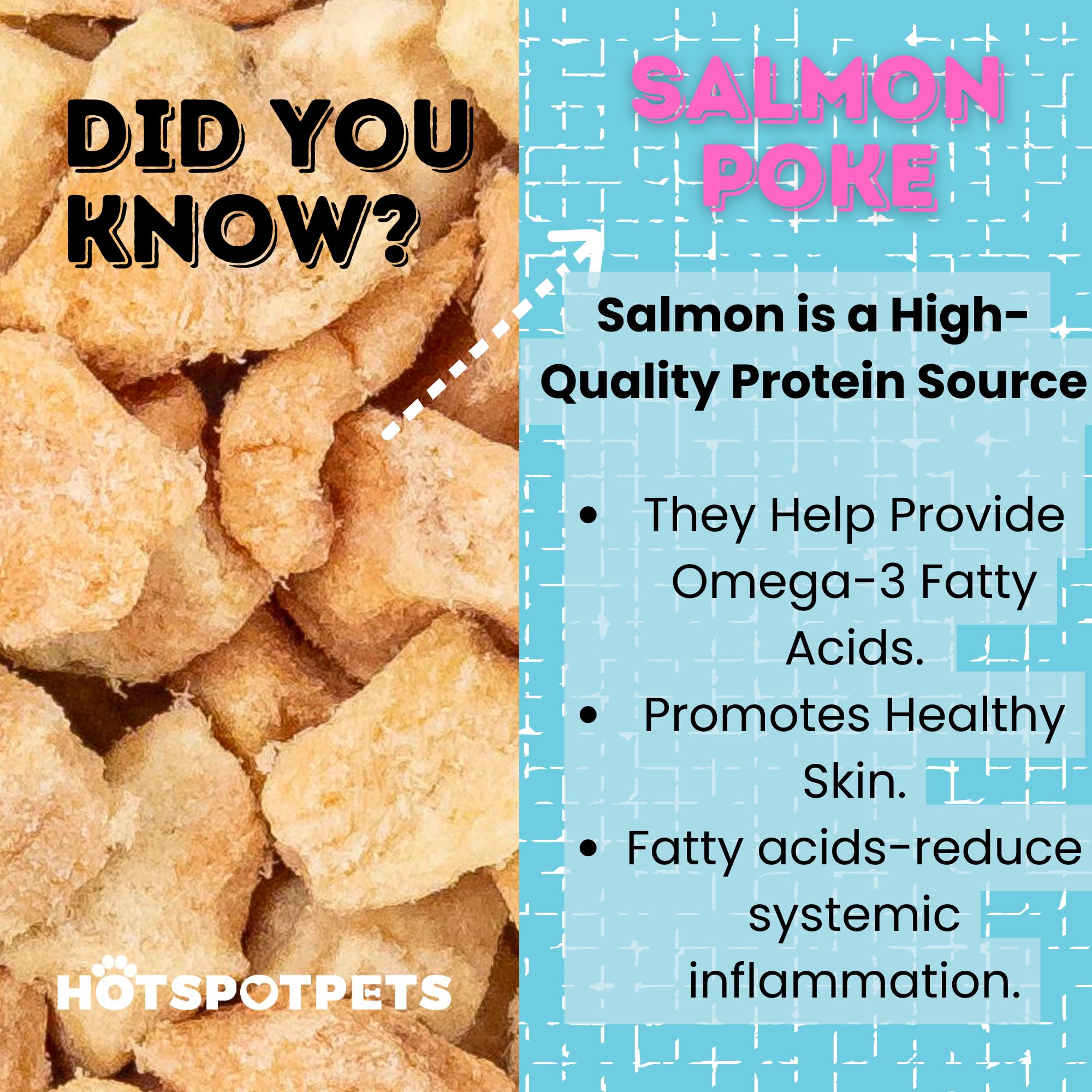 Hotspot Pets saumon séché riche en protéines pour le développement musculaire.