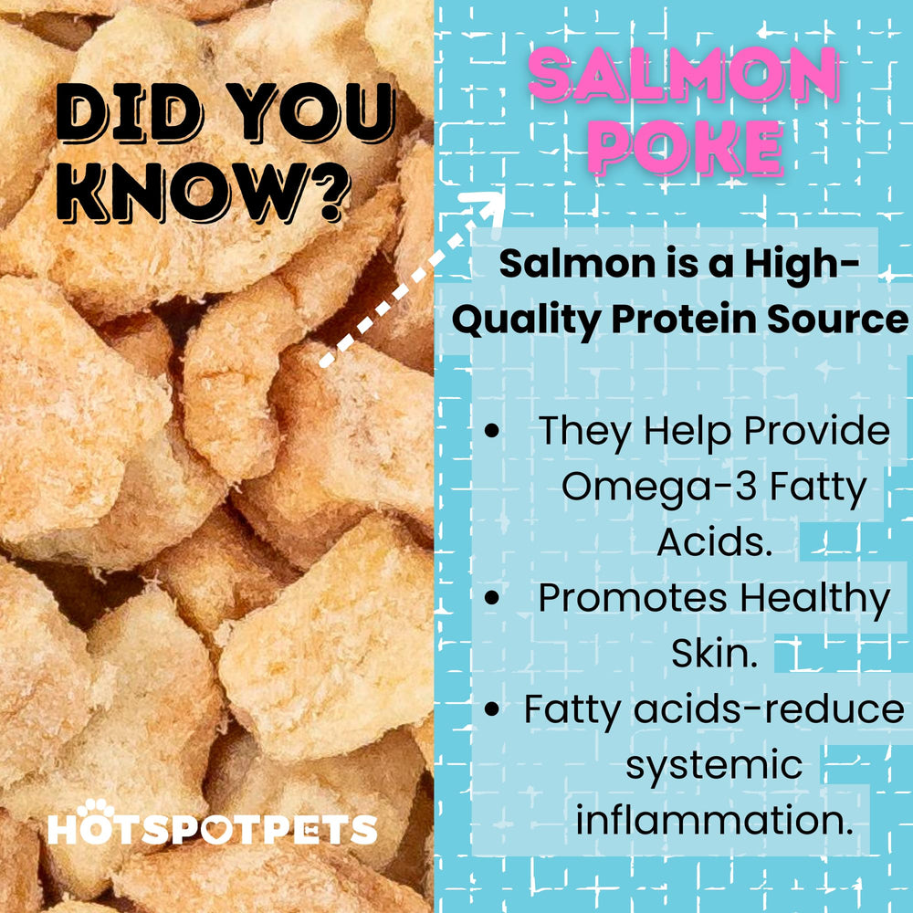 Hotspot Pets saumon séché riche en protéines pour le développement musculaire.