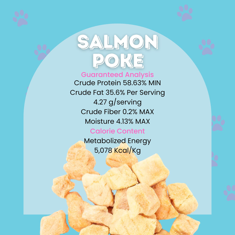 Saumon séché Hotspot Pets fabriqué sans céréales pour régime léger.
