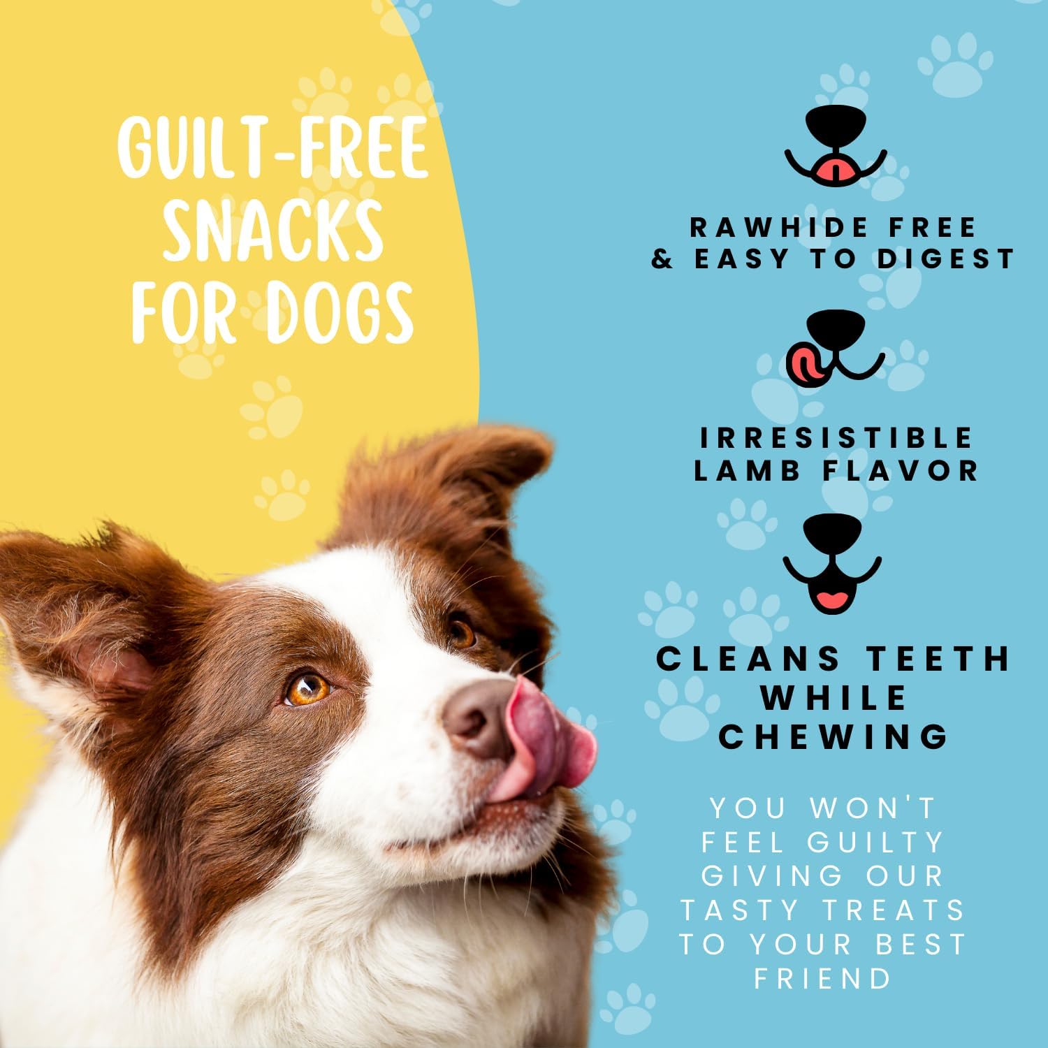 Hotspot Pets texture croquante cuisson lente – saveur naturelle préservée.