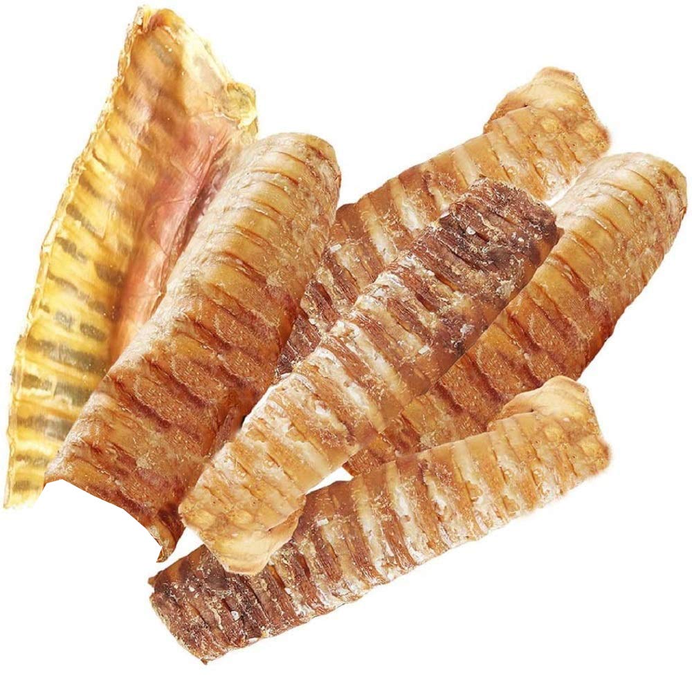Hotspot Pets trachée de bœuf 6 pouces, tranche unique favorisant la mastication saine.