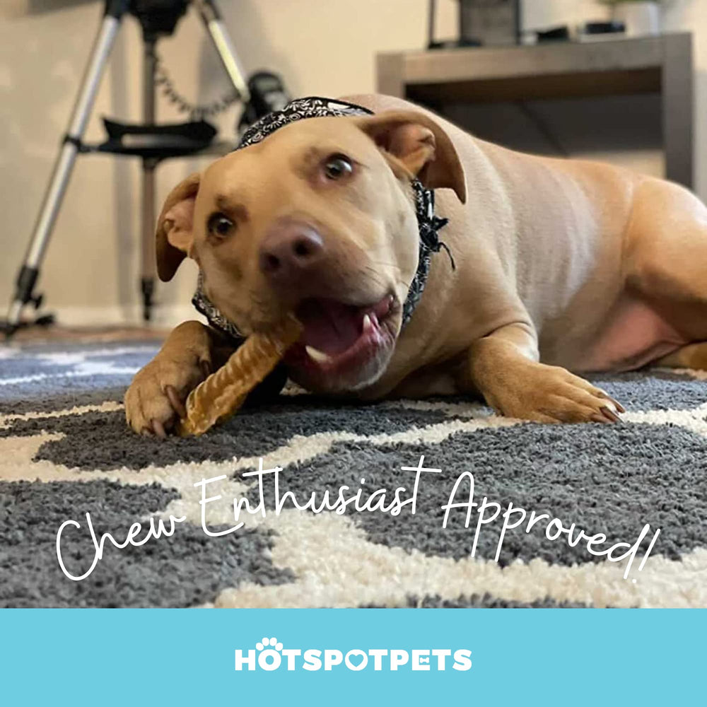 Hotspot Pets trachée de bœuf nature et savoureuse, sans céréales.