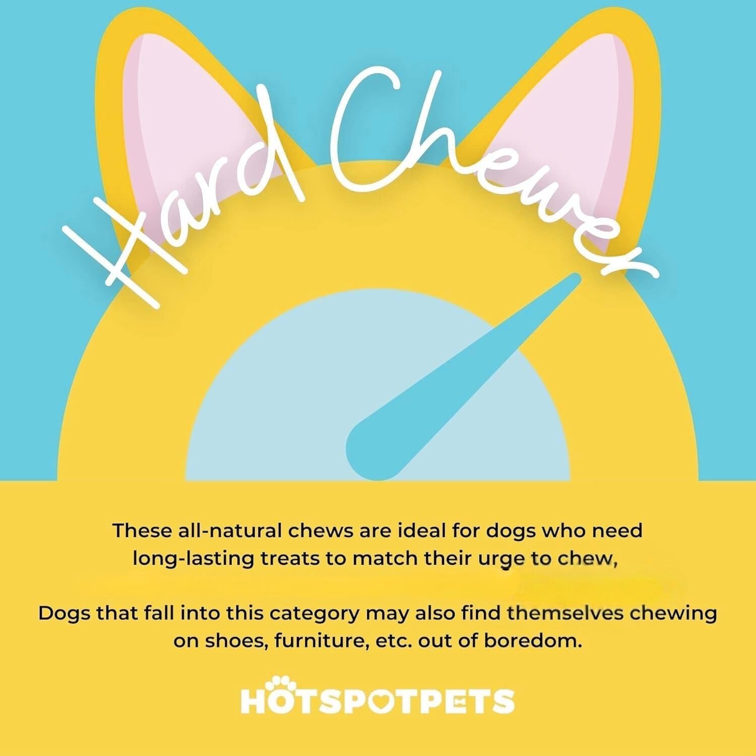 Hotspot Pets: usage intérieur et extérieur sans odeur