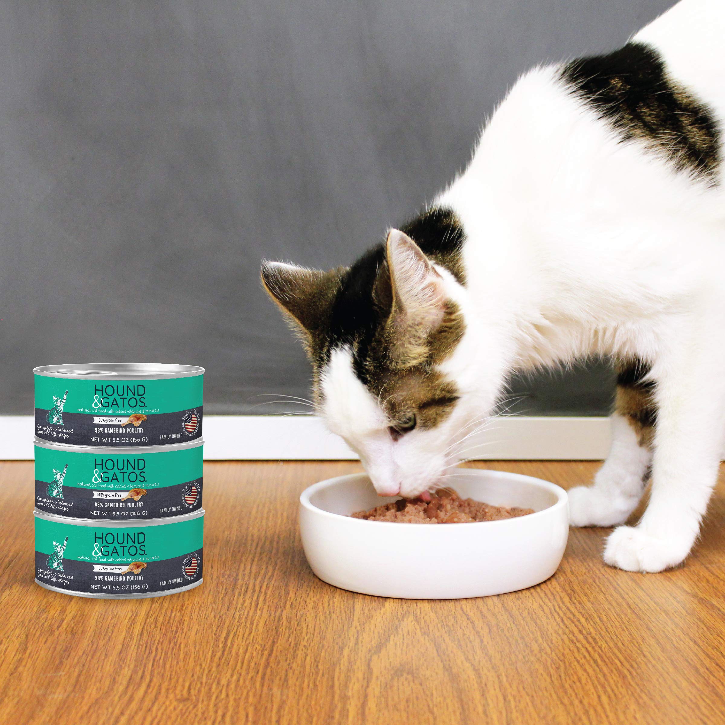 Ingrédients naturels HOUND & GATOS, chat digestion plus douce et ingrédients simples.