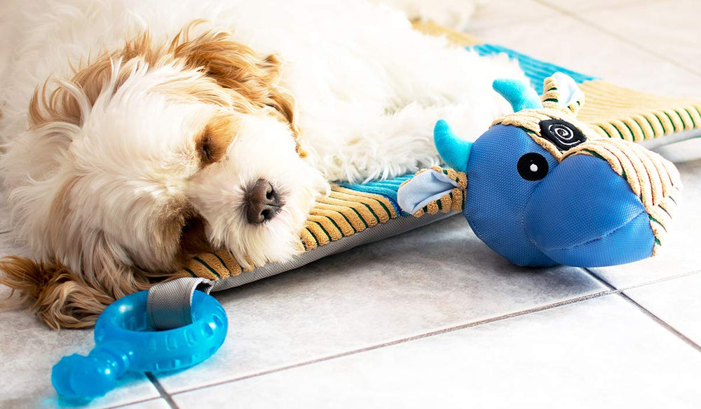 HOUNDGAMES Tapis d'activité – stimule le jeu et la concentration