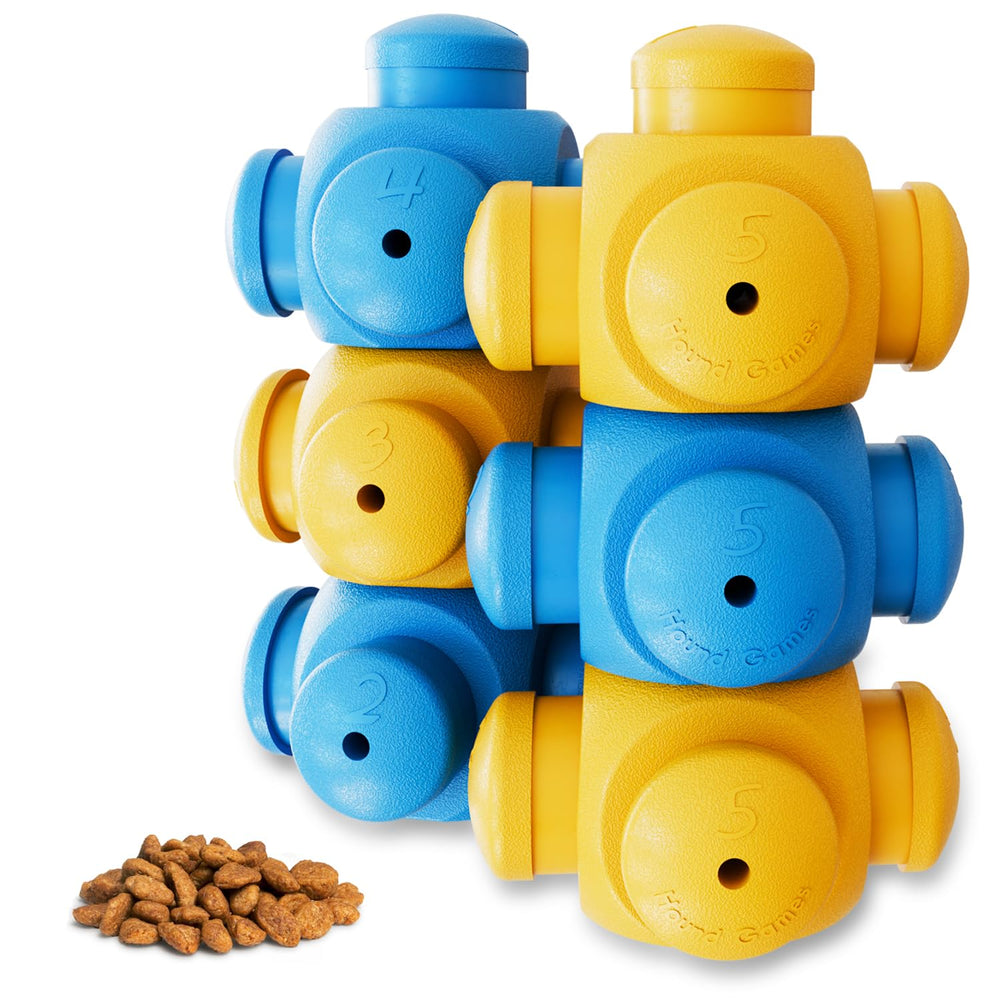 HOUNDGAMES puzzles-chien: stimulation cérébrale et concentration.