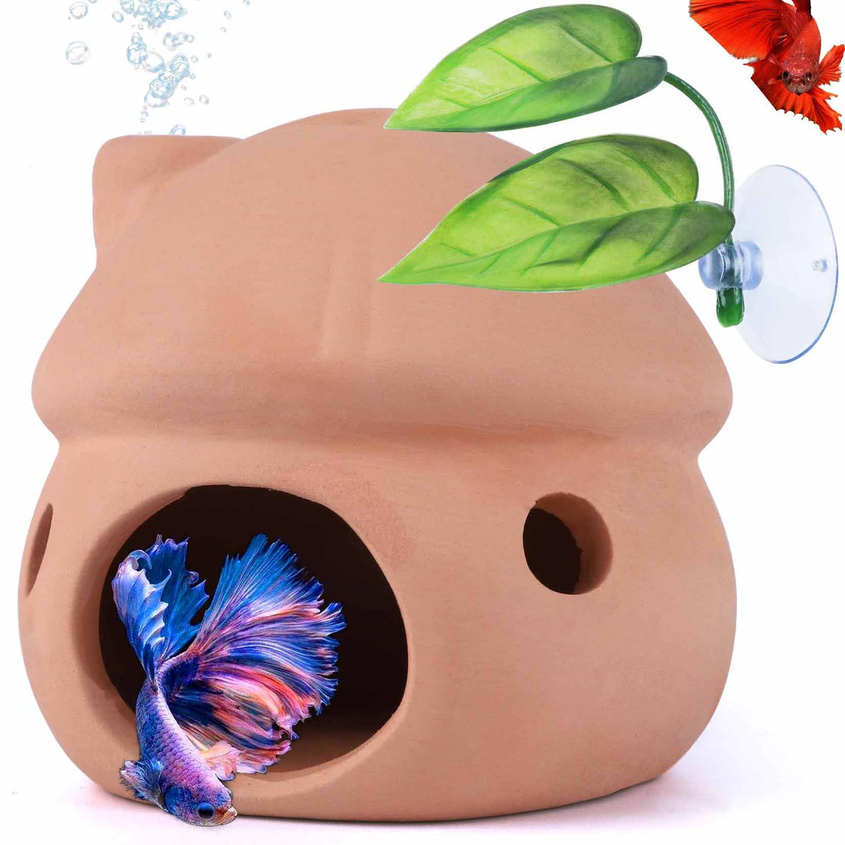 HouseUp caverne ceramique mushroom pour Betta, refuge sûr et naturel.