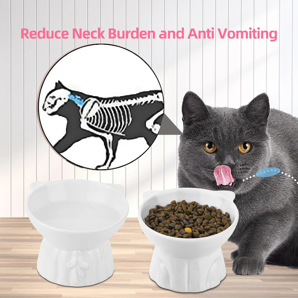Hovico bol eau chat surleve ceramique design ergonomique facilite boire