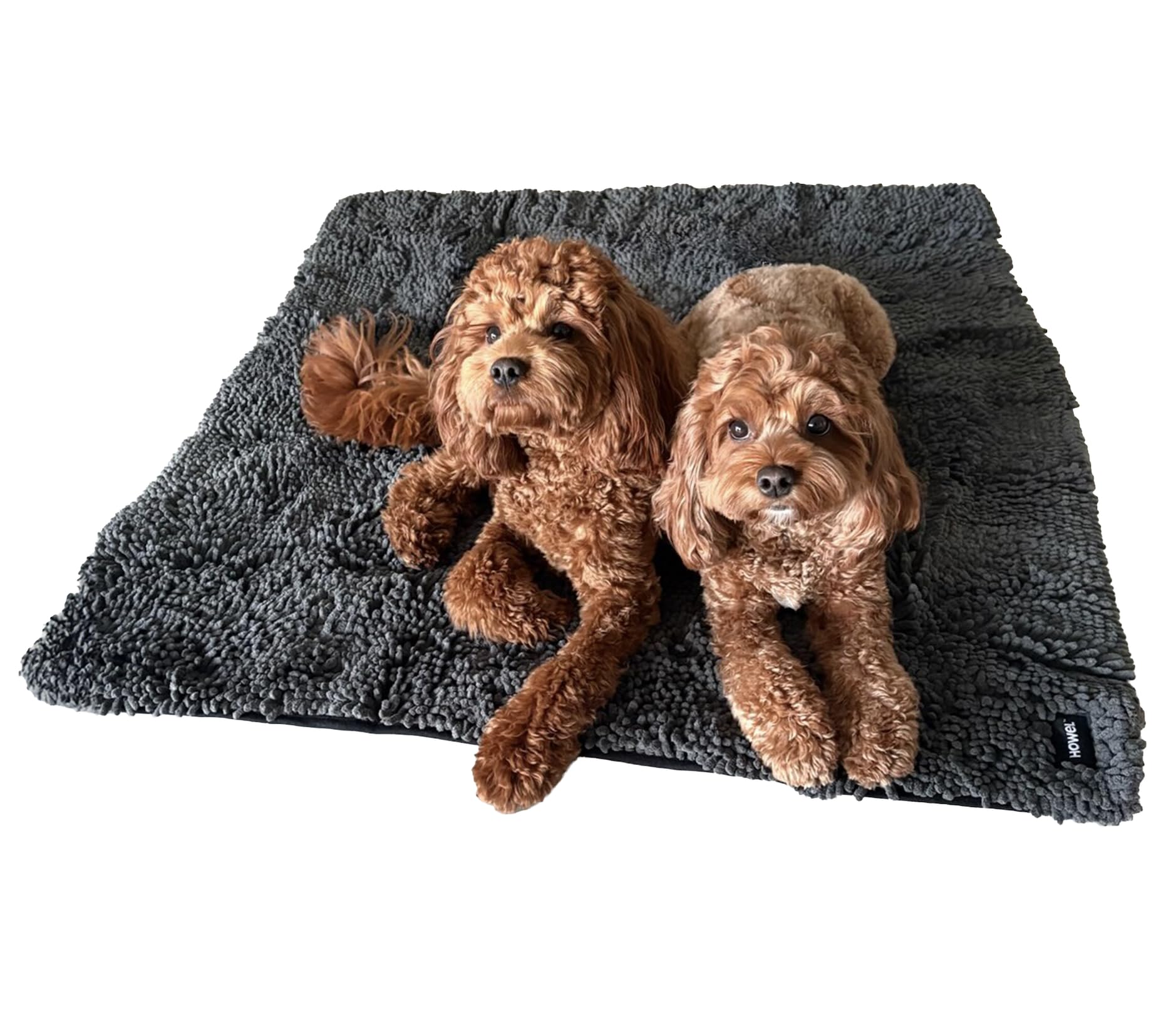Serviette HOWEL absorbante pour chien, 43x35, idéale après promenade pluvieuse.