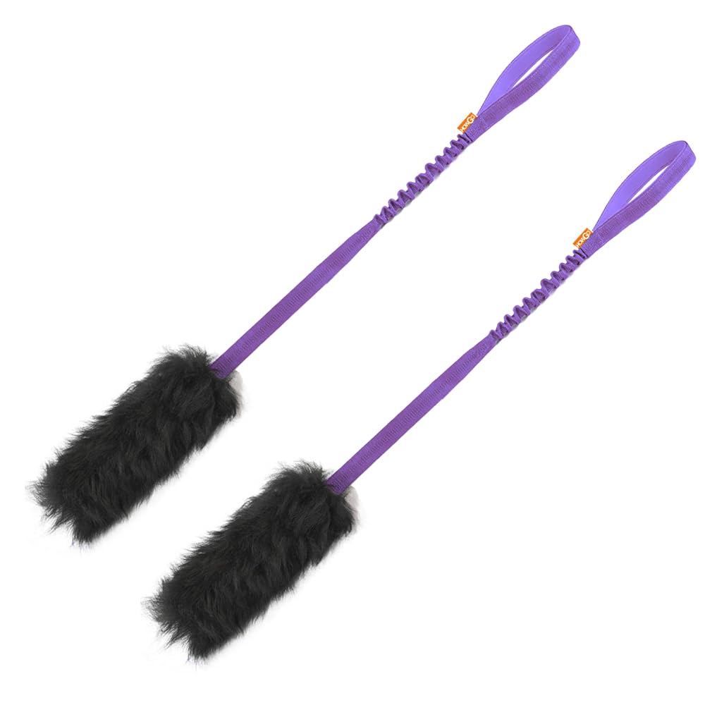 HOWGO Corde-bungee pour chien en fourrure violet, jeu interactif et stimulants.