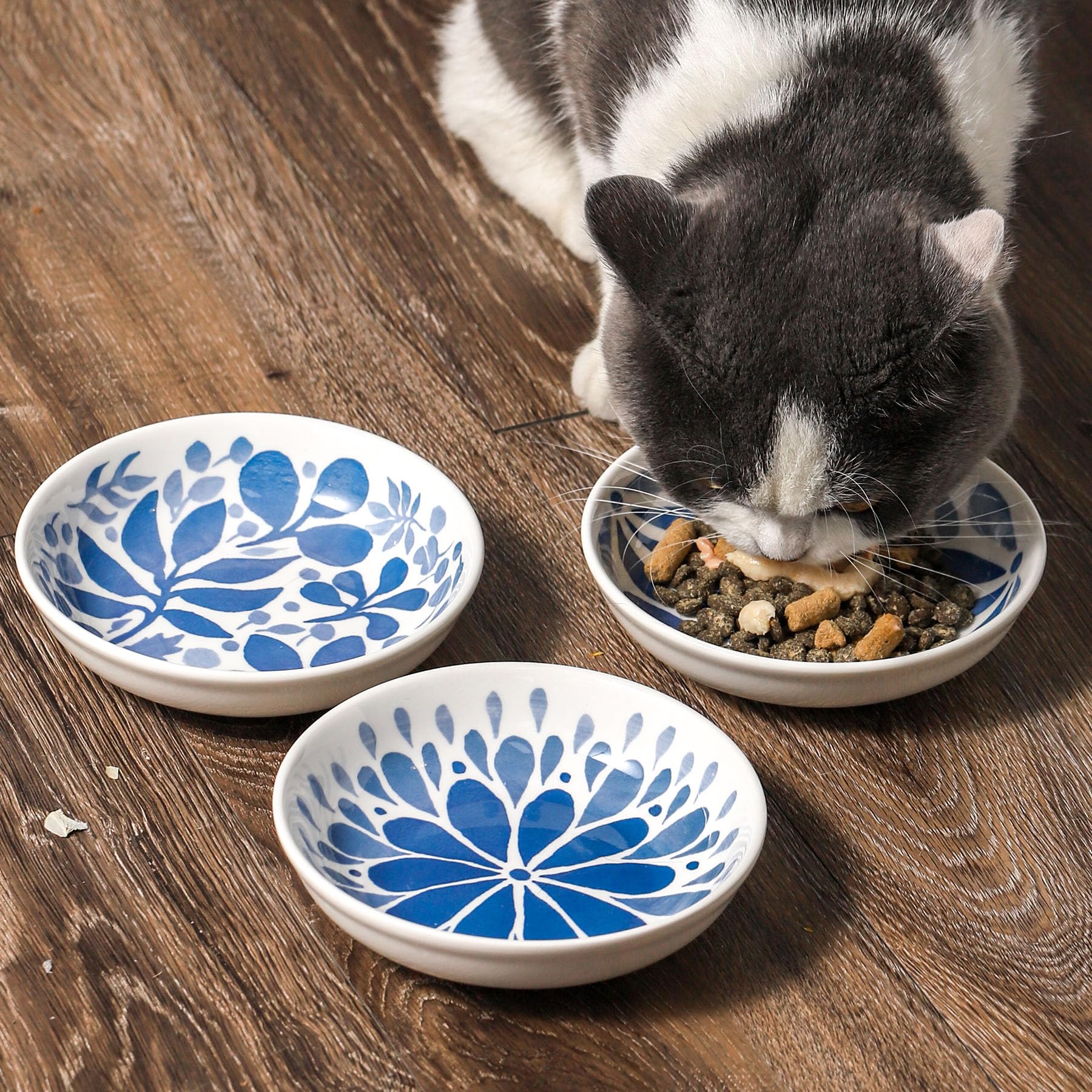 Howise base stable permet de servir petites portions à plusieurs chats.