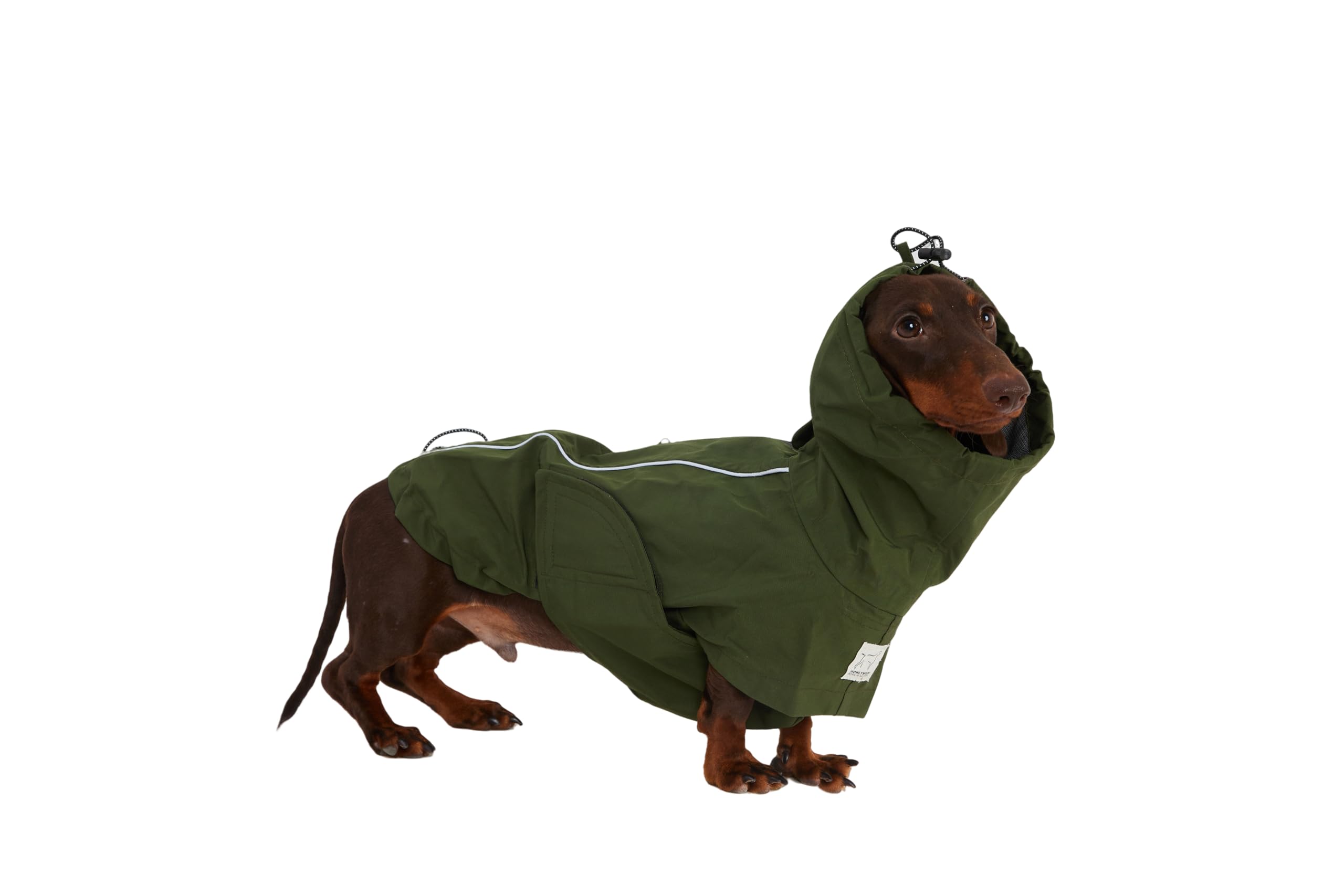 Design léger HowlyWoof offrant confort durant les promenades.