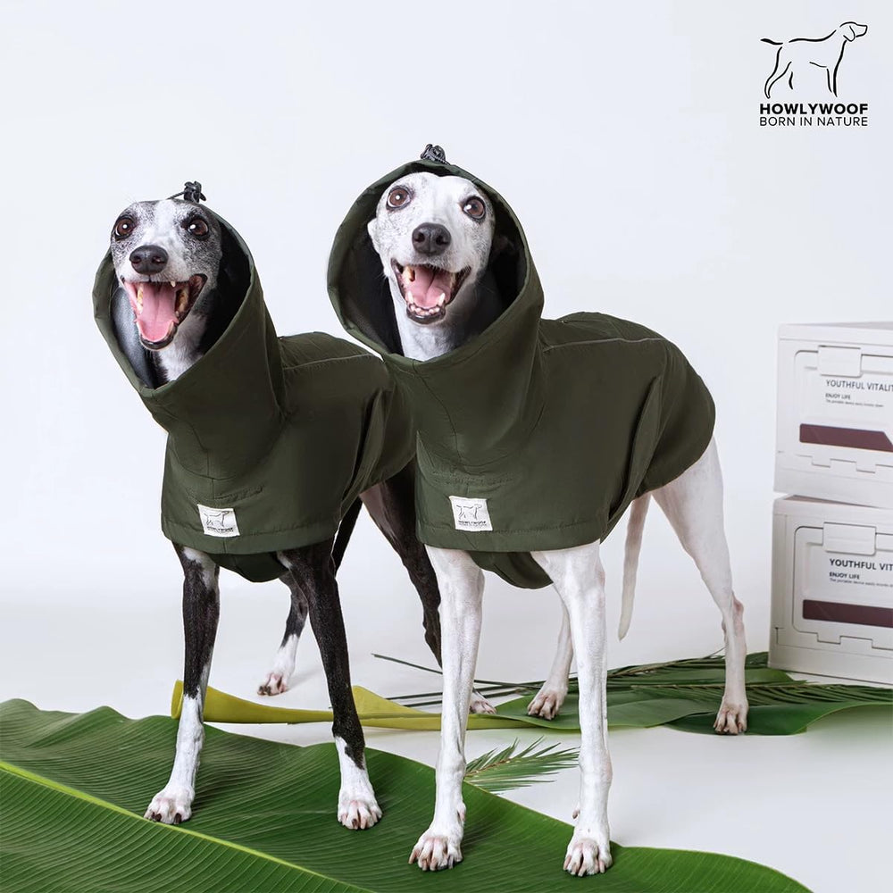 Tailles variées HowlyWoof couvrant petits à grands chiens.