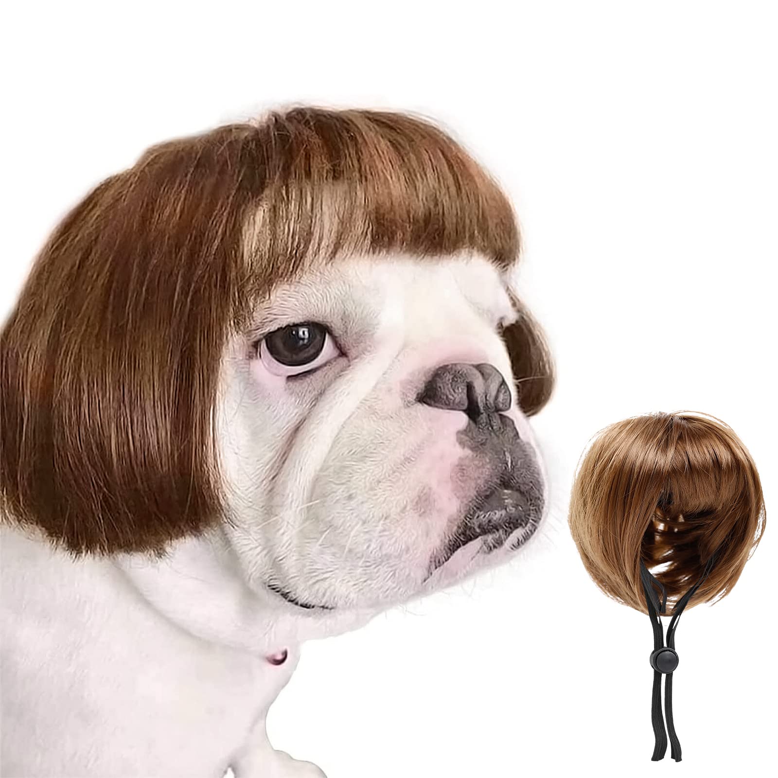 HOWWFALY déguisement chien – perruque bouclée légère pour fête